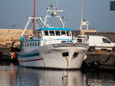 �� normale - afferma il 60enne pescatore Donato (soprannominato �u figghie du mazzapisce�) -. Siamo solo in sette a portare qui il nostro carico direttamente dai pescherecci�